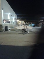 /album/imprudencias/a1901288-10152262710808021-1221475414612246114-n-jpg/